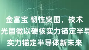 金富宝 韧性突围，技术引领——紫光国微以硬核实力锚定半导体新未来
