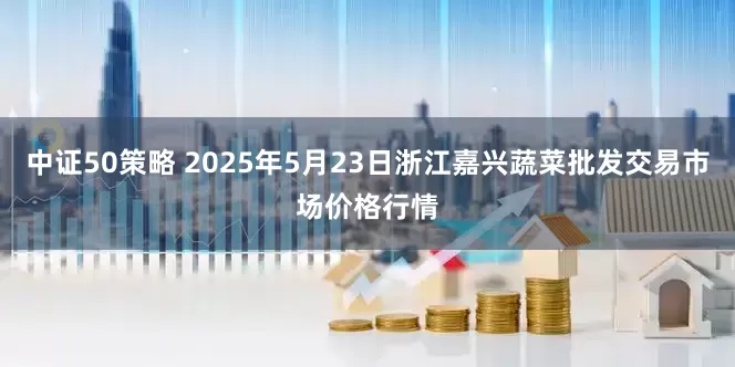 中证50策略 2025年5月23日浙江嘉兴蔬菜批发交易市场价格行情