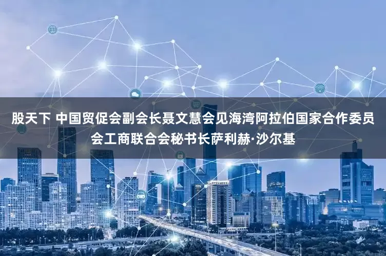 股天下 中国贸促会副会长聂文慧会见海湾阿拉伯国家合作委员会工商联合会秘书长萨利赫·沙尔基