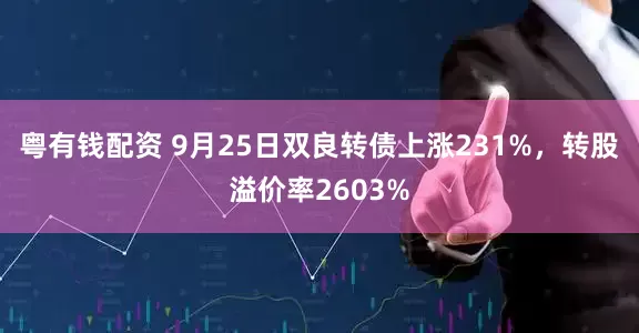粤有钱配资 9月25日双良转债上涨231%，转股溢价率2603%